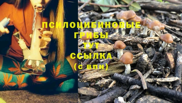 MDMA Premium VHQ Аркадак