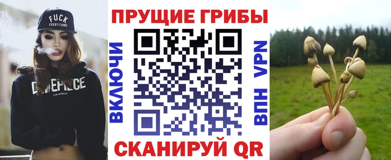 где купить наркоту  blacksprut зеркало  Псилоцибиновые грибы мухоморы  Венёв 